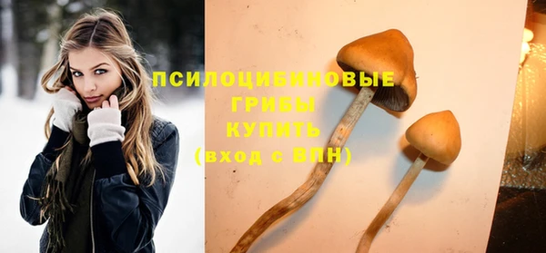 прущая мука Осташков