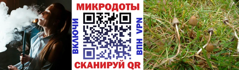Галлюциногенные грибы ЛСД  закладка  Котельнич 